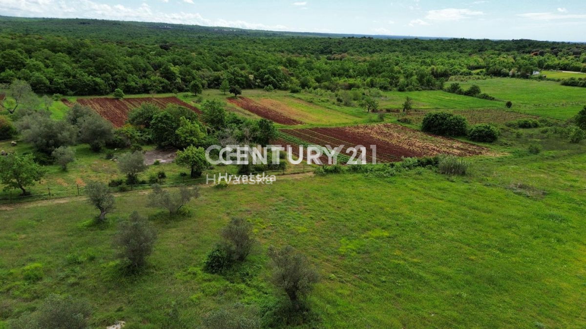 Vendita, Casa, Indipendente, Provincia di Istria, Rovinj