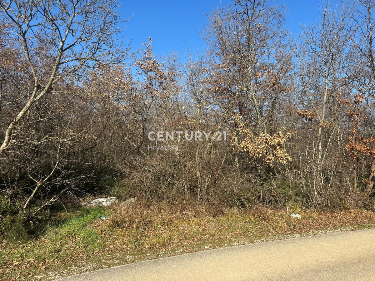POREČ, VENDESI TERRENO EDIFICABILE IN COMBINAZIONE CON AMPIO TERRENO AGRICOLO