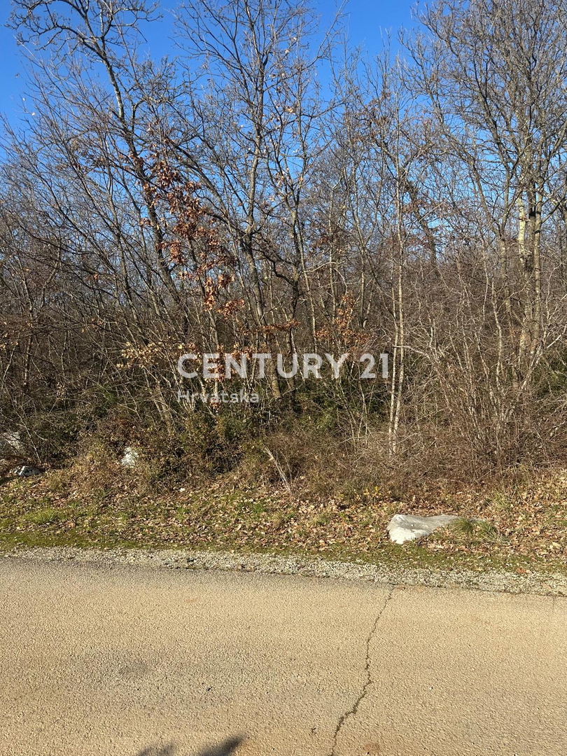 POREČ, VENDESI TERRENO EDIFICABILE IN COMBINAZIONE CON AMPIO TERRENO AGRICOLO