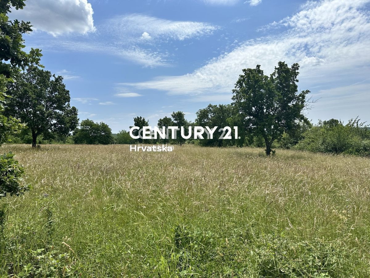 POREČ, VIŠNJAN, TERRENO EDIFICABILE IN POSIZIONE TRANQUILLA