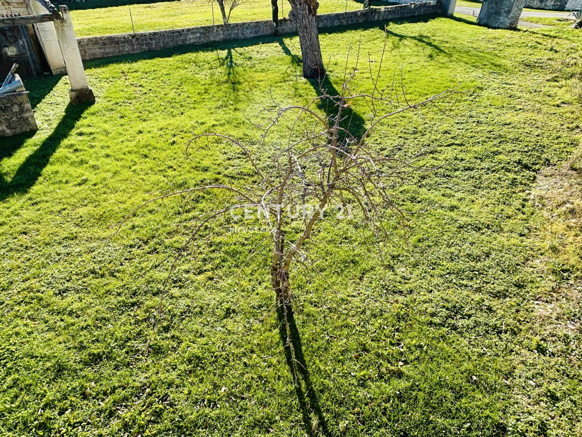 POREČ, DINTORNI, ESCLUSIVO PODERE AUTOCTONO ISTRIANO CON VISTA SUL MARE