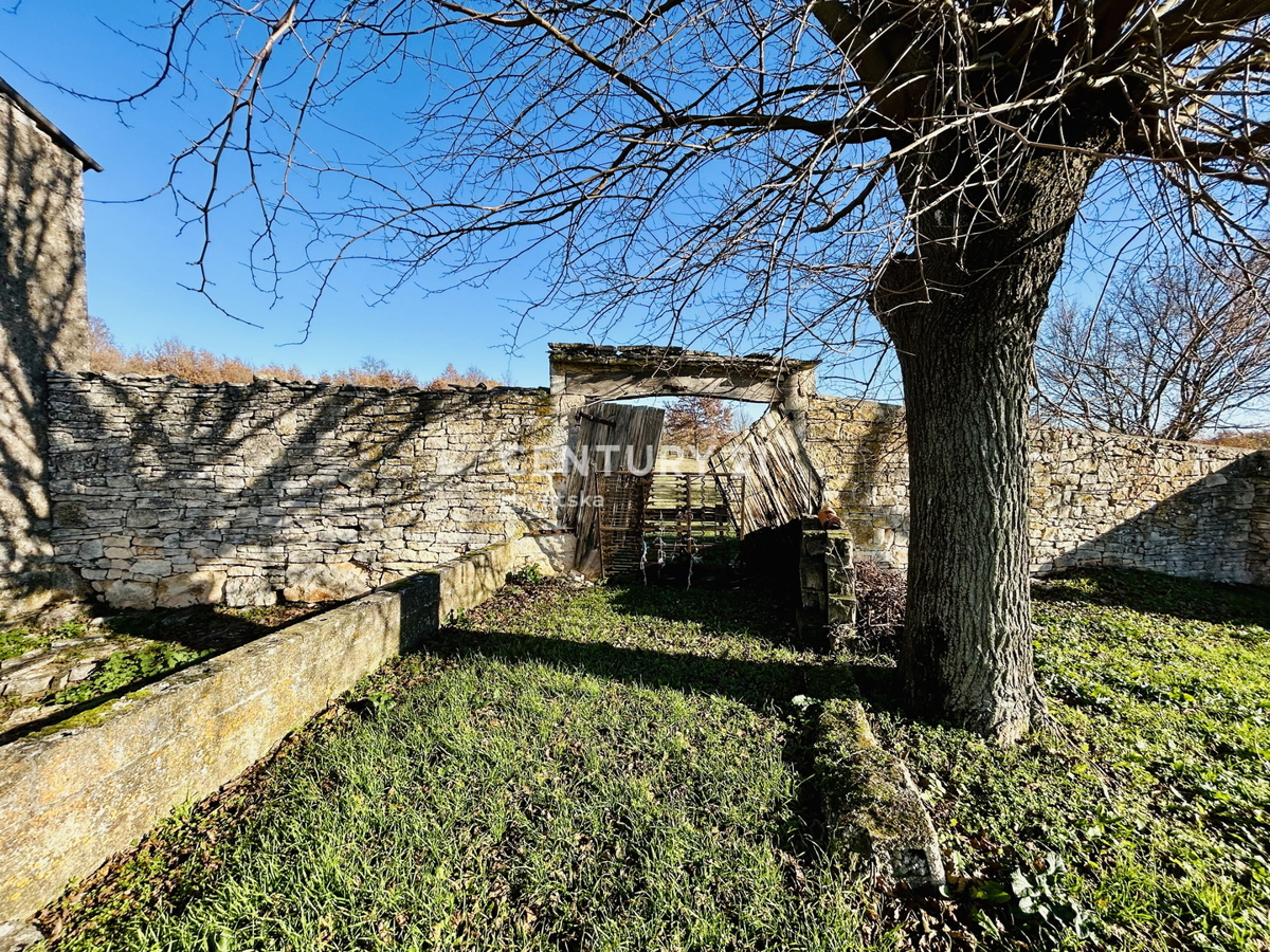 POREČ, DINTORNI, ESCLUSIVO PODERE AUTOCTONO ISTRIANO CON VISTA SUL MARE