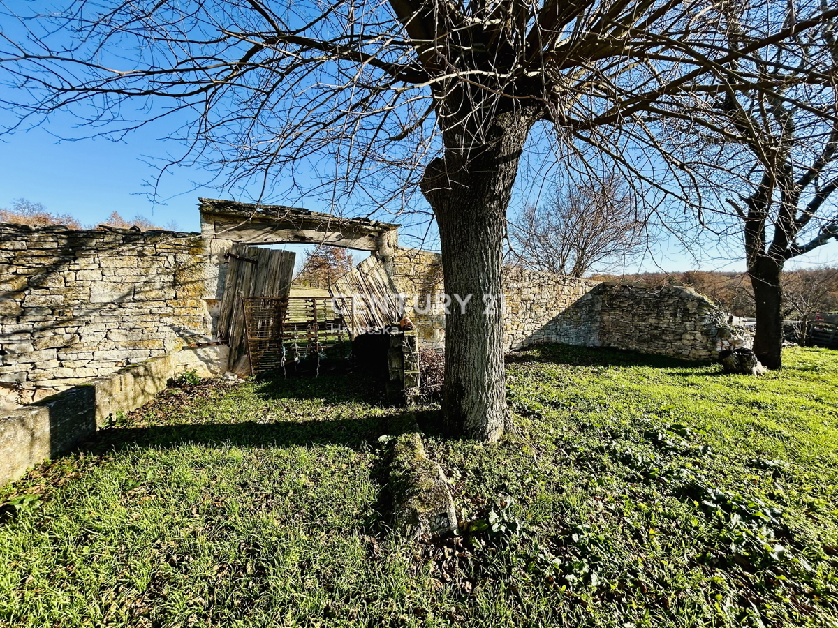 POREČ, DINTORNI, ESCLUSIVO PODERE AUTOCTONO ISTRIANO CON VISTA SUL MARE