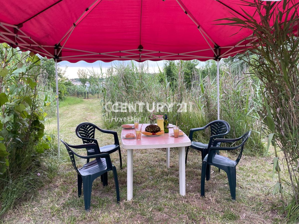 Vendita, Terreno, Superficie agricola, Provincia di Istria, Umag