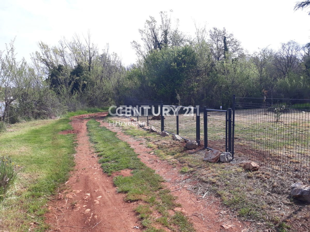 Vendita, Terreno, Superficie agricola, Provincia di Istria, Umag