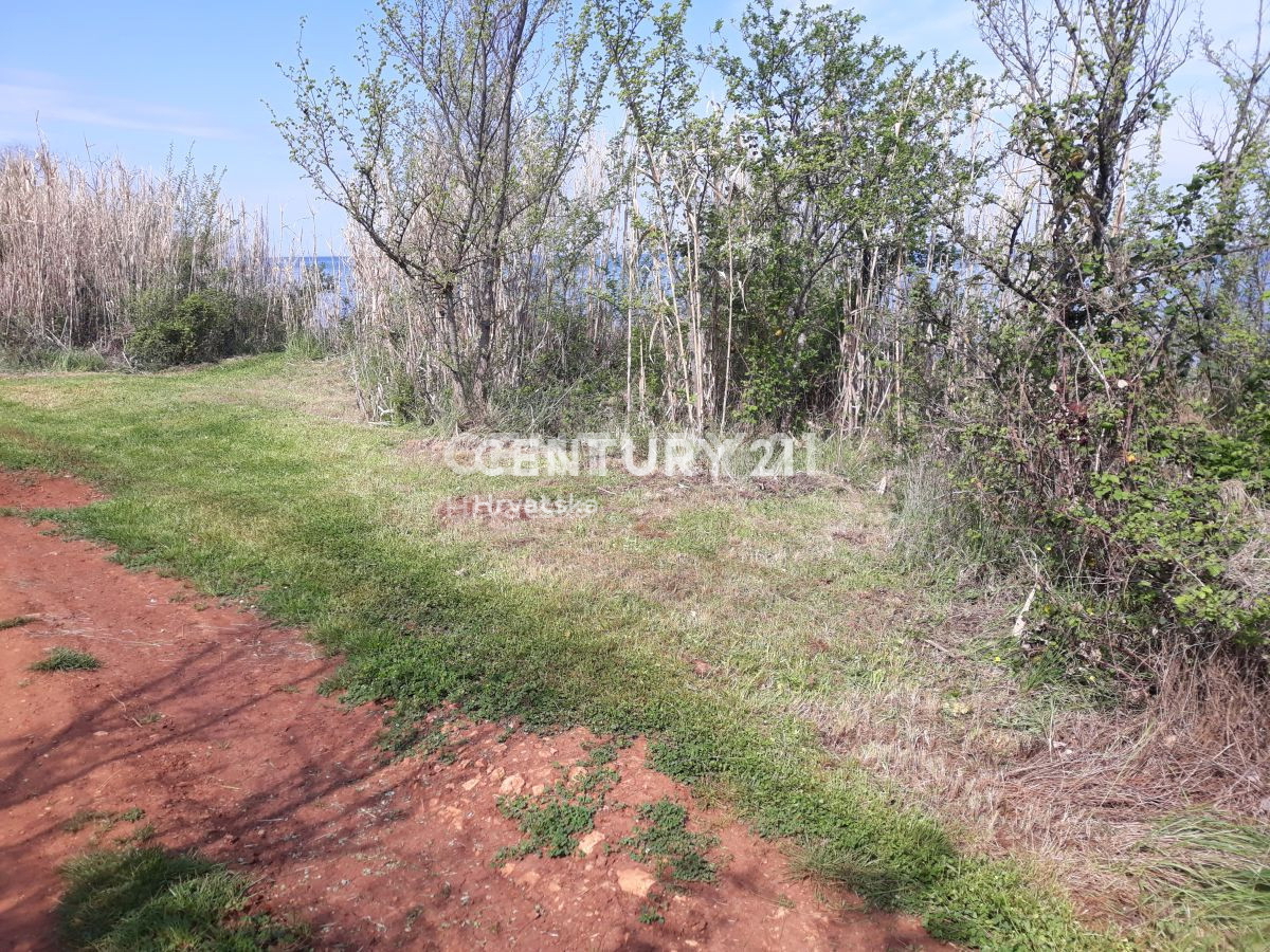 Vendita, Terreno, Superficie agricola, Provincia di Istria, Umag