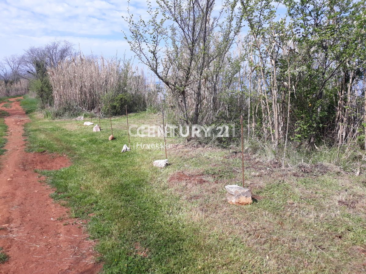 Vendita, Terreno, Superficie agricola, Provincia di Istria, Umag