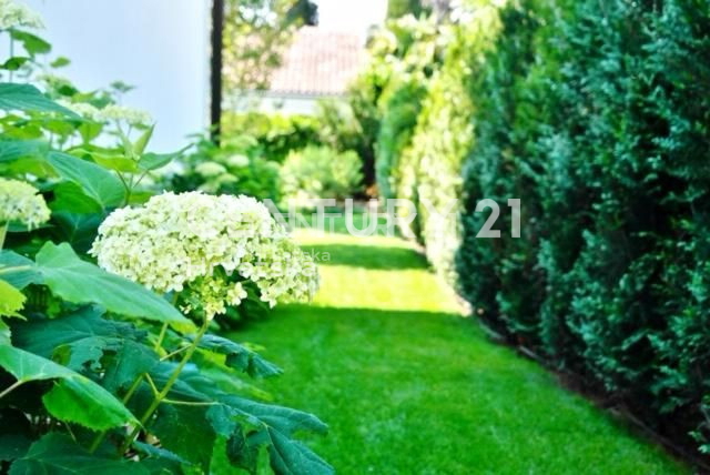 Vendita, Casa, Indipendente, Provincia di Istria, Novigrad