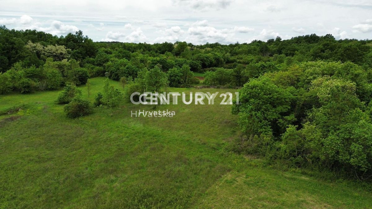 Vendita, Terreno, Edificabile, Istarska županija, Sveti Lovreč