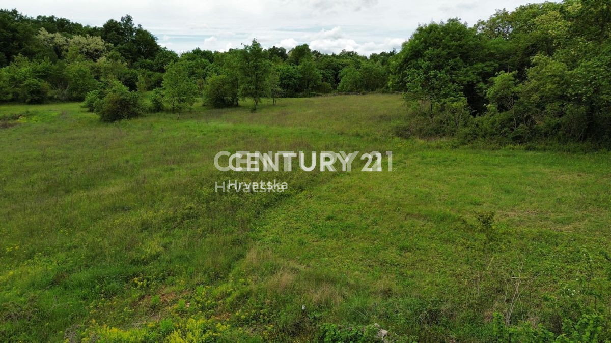 Vendita, Terreno, Edificabile, Istarska županija, Sveti Lovreč