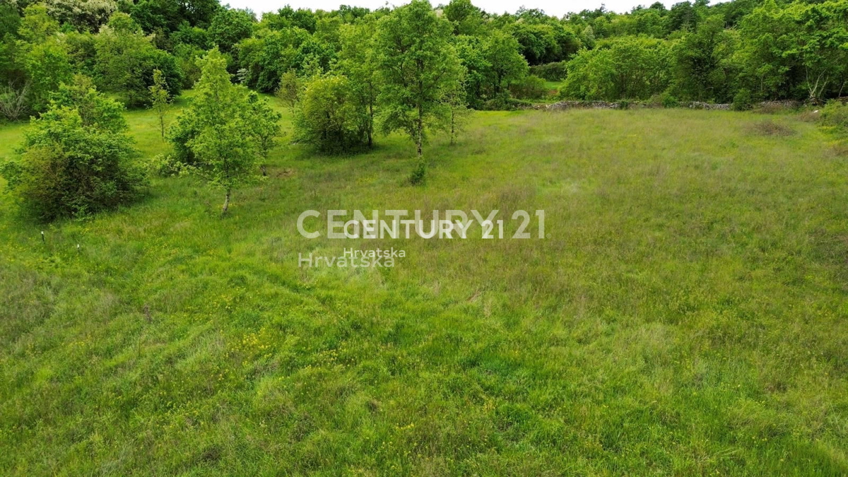 Vendita, Terreno, Edificabile, Istarska županija, Sveti Lovreč