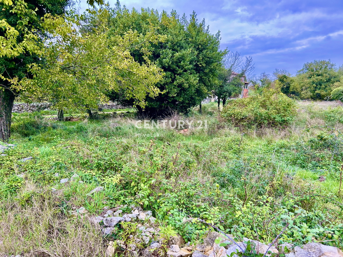 GROŽNJAN, A SOLI 3 KM DA GROŽNJAN TERRENO EDIFICABILE ATTRATTIVO