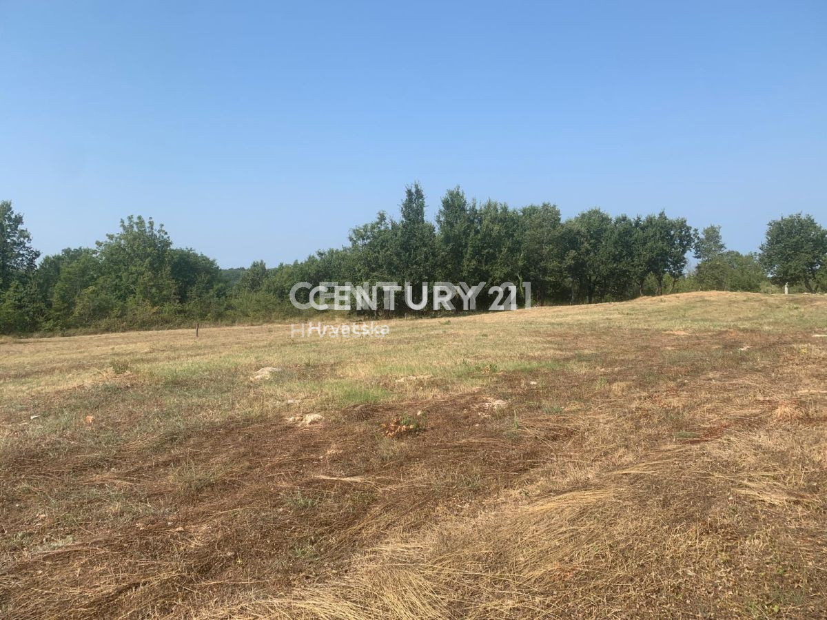 Vendita, Terreno, Edificabile, Provincia di Istria, Višnjan, Radoši vicino a Višnjan