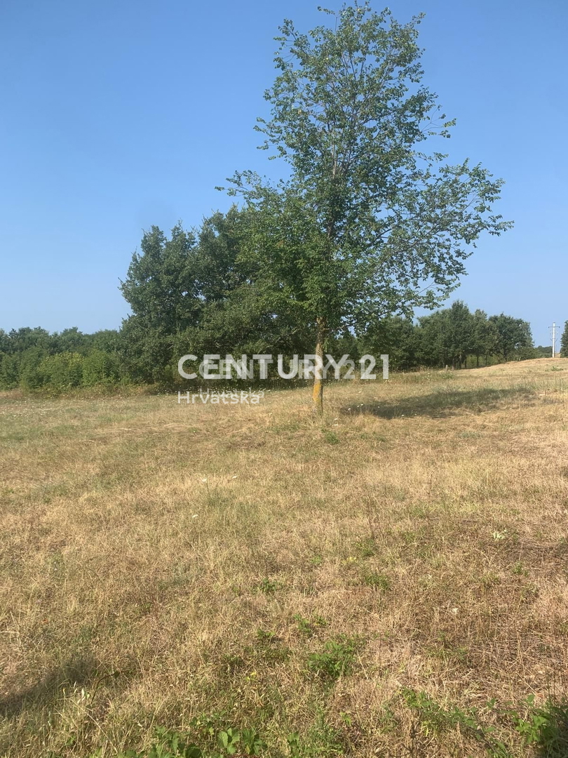 Vendita, Terreno, Edificabile, Provincia di Istria, Višnjan, Radoši vicino a Višnjan