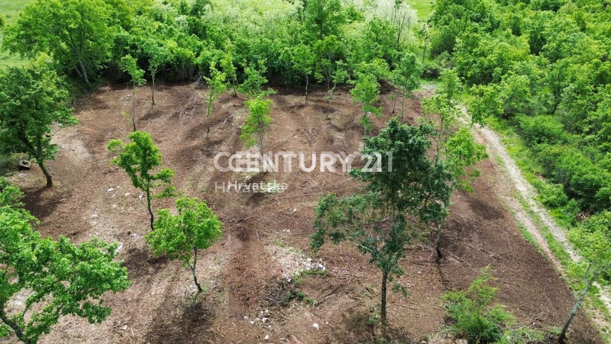 Vendita, Terreno, Edificabile, Provincia di Istria, Višnjan