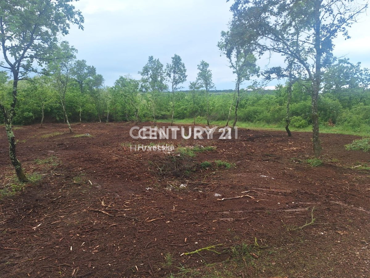 Vendita, Terreno, Edificabile, Provincia di Istria, Višnjan