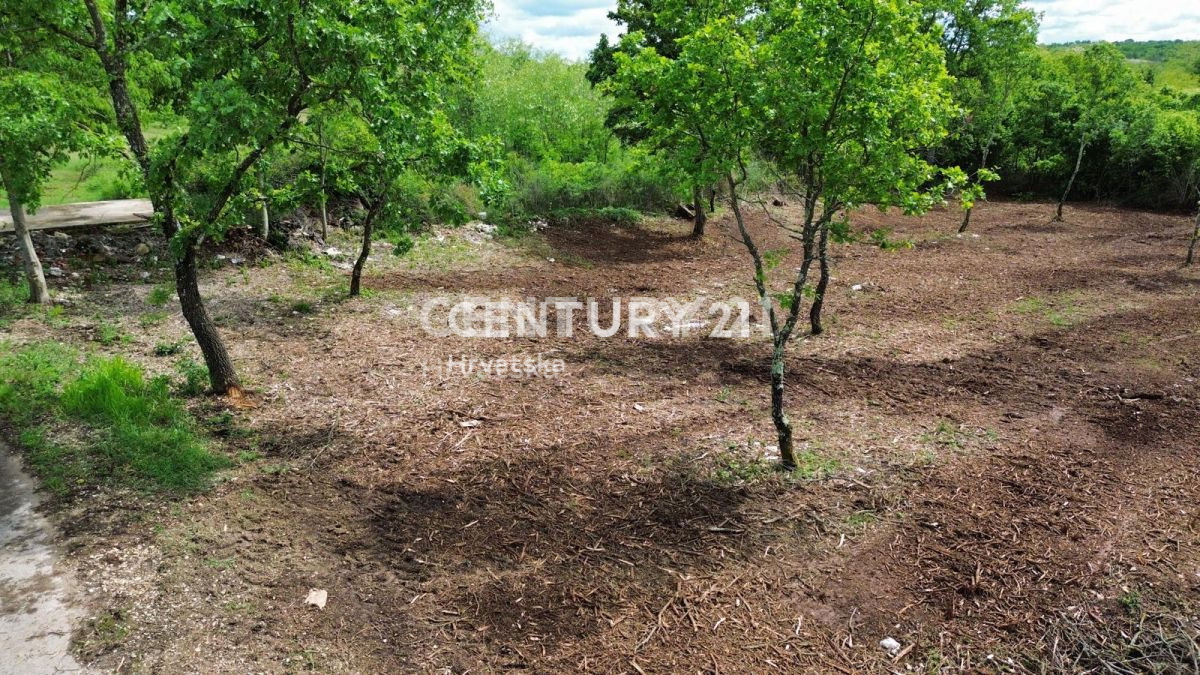 Vendita, Terreno, Edificabile, Provincia di Istria, Višnjan