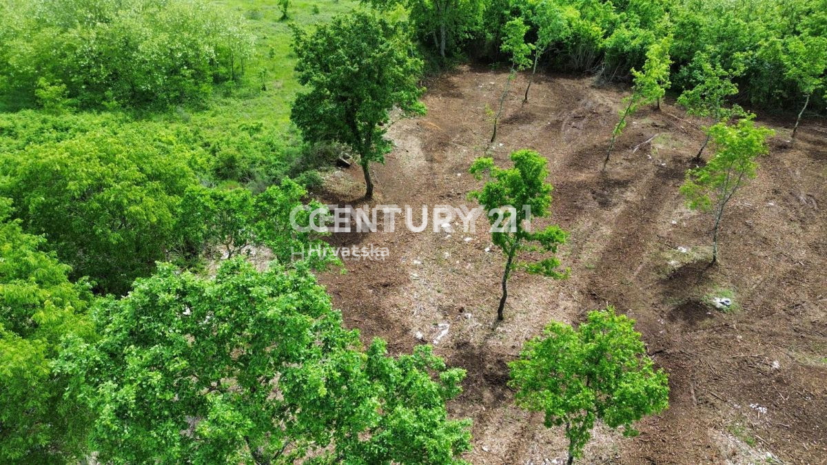 Vendita, Terreno, Edificabile, Provincia di Istria, Višnjan