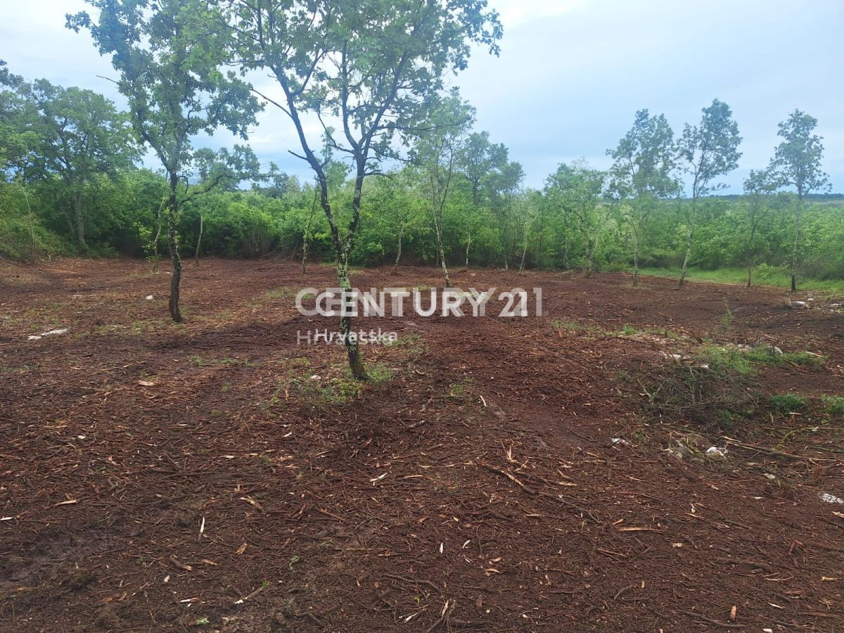 Vendita, Terreno, Edificabile, Provincia di Istria, Višnjan