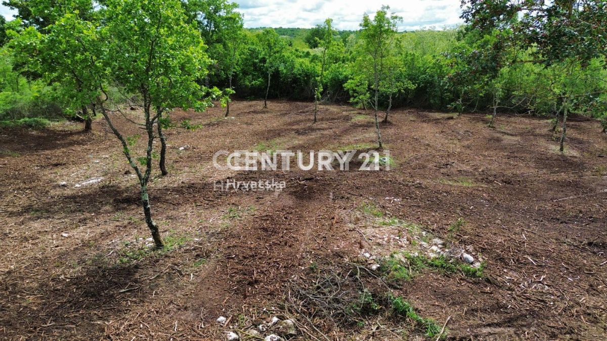 Vendita, Terreno, Edificabile, Provincia di Istria, Višnjan