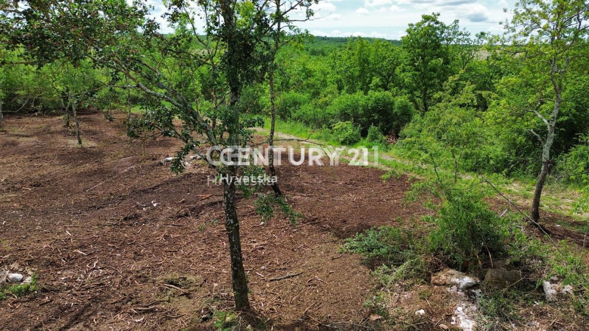 Vendita, Terreno, Edificabile, Provincia di Istria, Višnjan