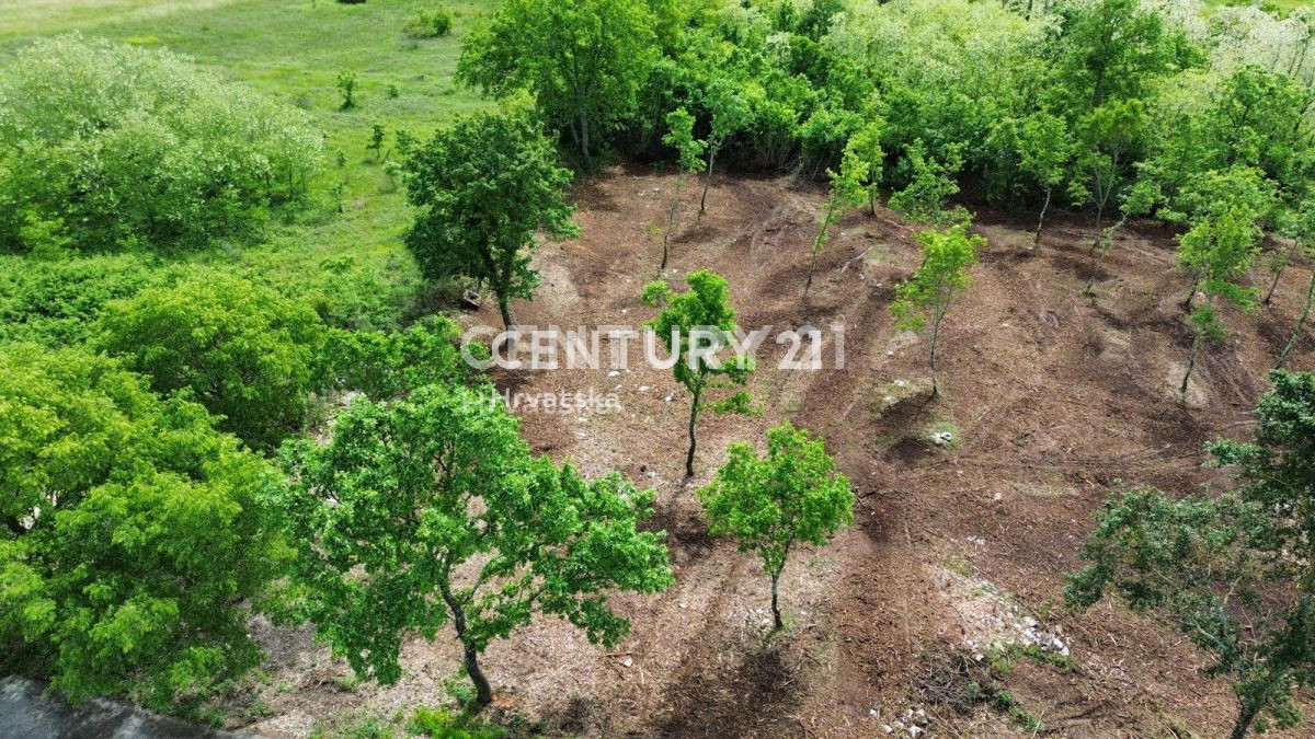 Vendita, Terreno, Edificabile, Provincia di Istria, Višnjan