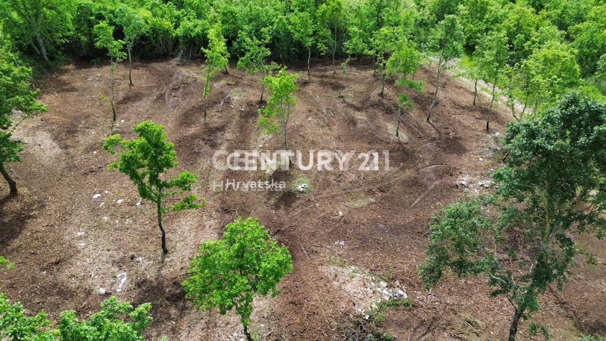 Vendita, Terreno, Edificabile, Provincia di Istria, Višnjan