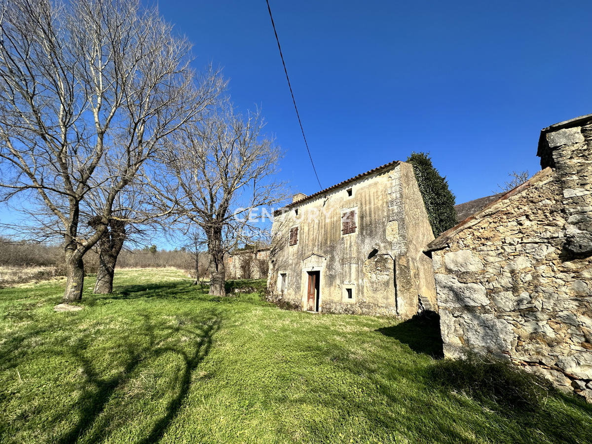 KRŠAN, TRE CASE IN PIETRA CON AMPIO TERRENO EDIFICABILE, VISTA APERTA SULLA NATURA