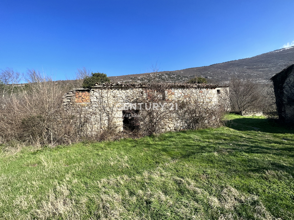 KRŠAN, TRE CASE IN PIETRA CON AMPIO TERRENO EDIFICABILE, VISTA APERTA SULLA NATURA