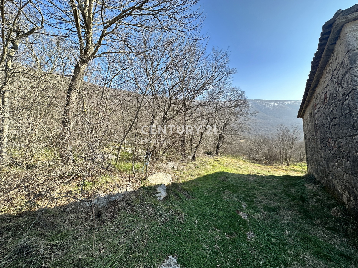 KRŠAN, TRE CASE IN PIETRA CON AMPIO TERRENO EDIFICABILE, VISTA APERTA SULLA NATURA