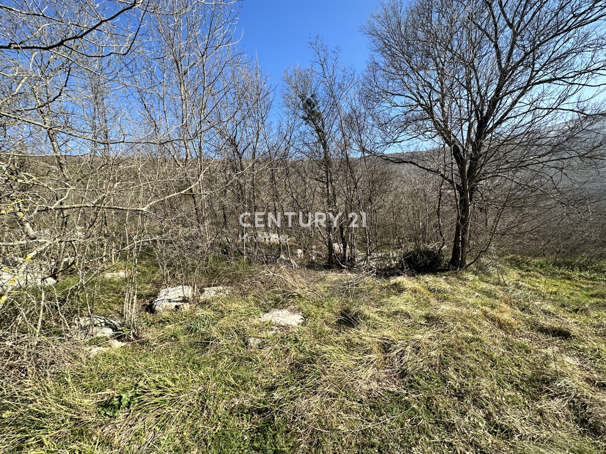 KRŠAN, TRE CASE IN PIETRA CON AMPIO TERRENO EDIFICABILE, VISTA APERTA SULLA NATURA