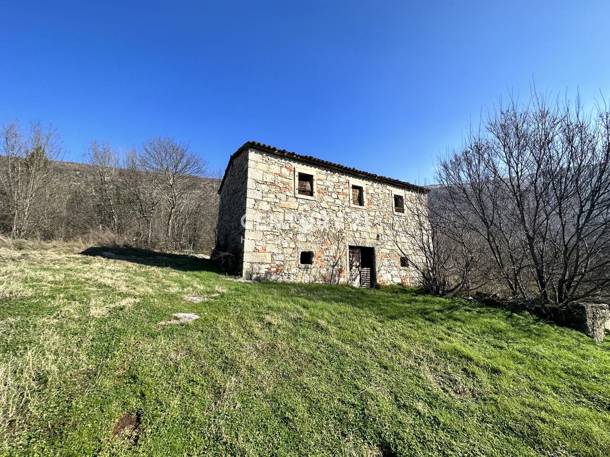 KRŠAN, TRE CASE IN PIETRA CON AMPIO TERRENO EDIFICABILE, VISTA APERTA SULLA NATURA