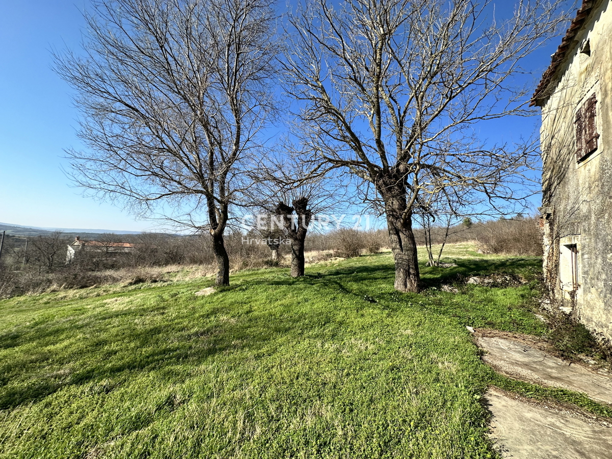 KRŠAN, TRE CASE IN PIETRA CON AMPIO TERRENO EDIFICABILE, VISTA APERTA SULLA NATURA