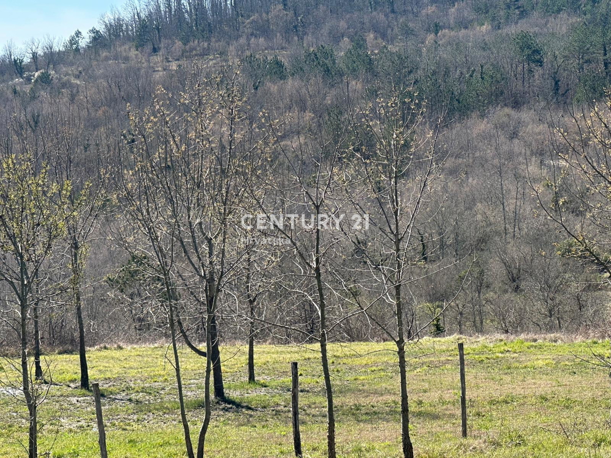 GROŽNJAN, IN VENDITA SPLENDIDA PROPRIETÀ CON VISTA APERTA SULLA NATURA