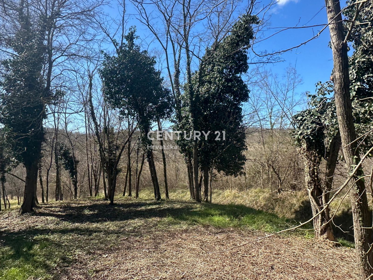 GROŽNJAN, IN VENDITA SPLENDIDA PROPRIETÀ CON VISTA APERTA SULLA NATURA