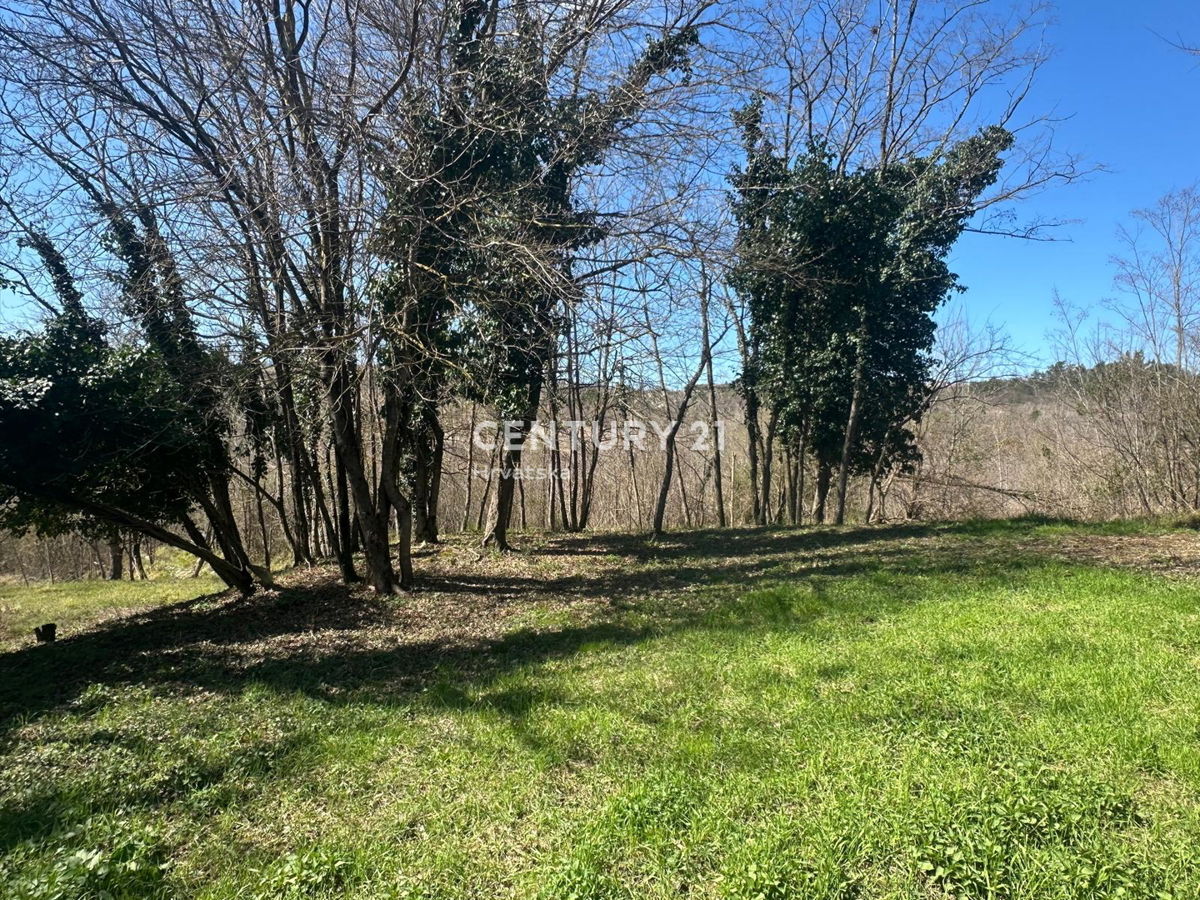 GROŽNJAN, IN VENDITA SPLENDIDA PROPRIETÀ CON VISTA APERTA SULLA NATURA