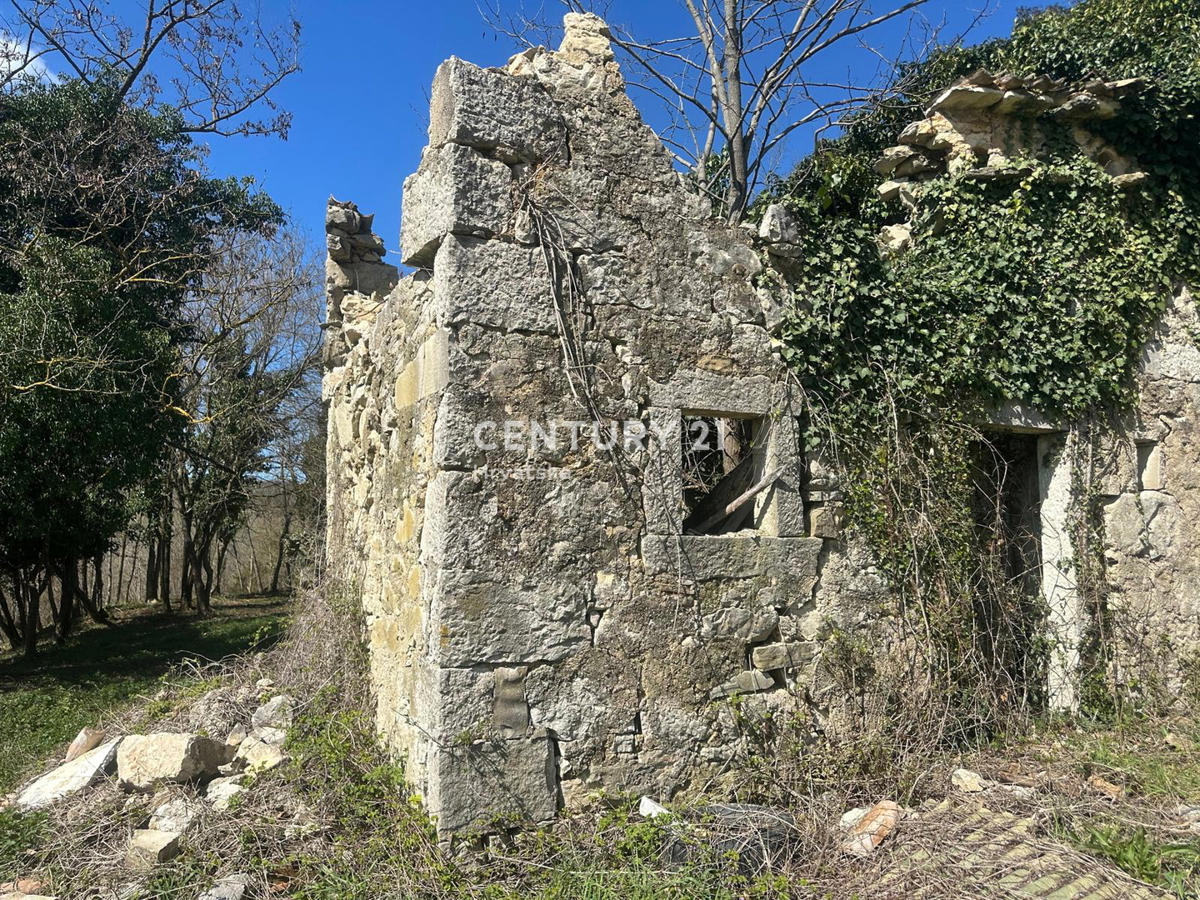 GROŽNJAN, IN VENDITA SPLENDIDA PROPRIETÀ CON VISTA APERTA SULLA NATURA