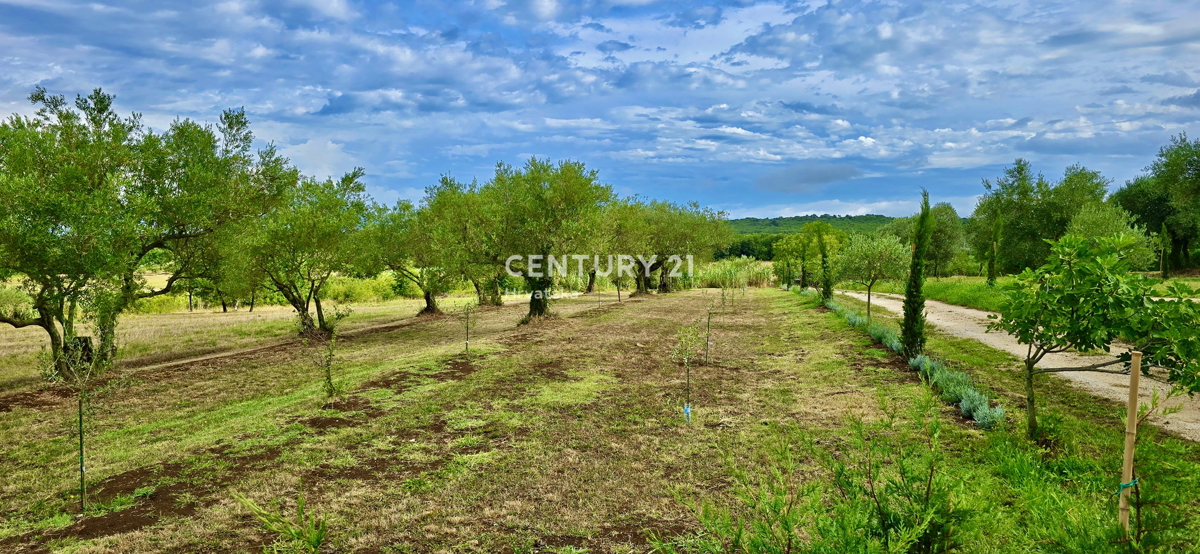 UMAG, DINTORNI, FANTASTICA CASA CON VISTA MARE, OCCASIONE!!