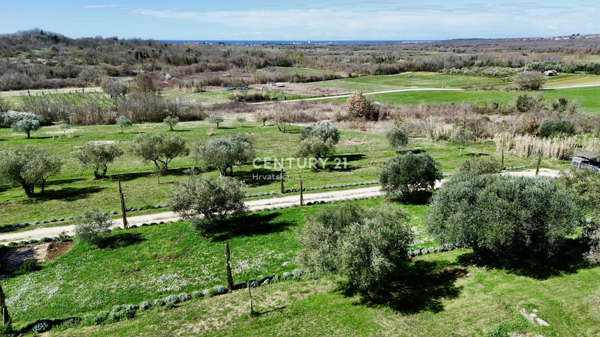 UMAG, DINTORNI, FANTASTICA CASA CON VISTA MARE, OCCASIONE!!