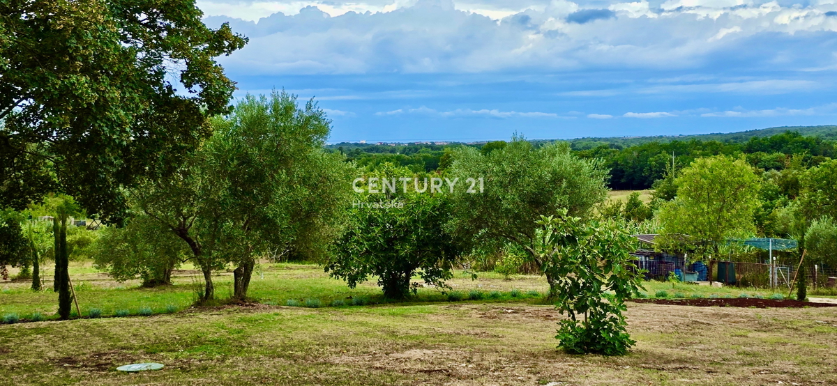 UMAG, DINTORNI, FANTASTICA CASA CON VISTA MARE, OCCASIONE!!