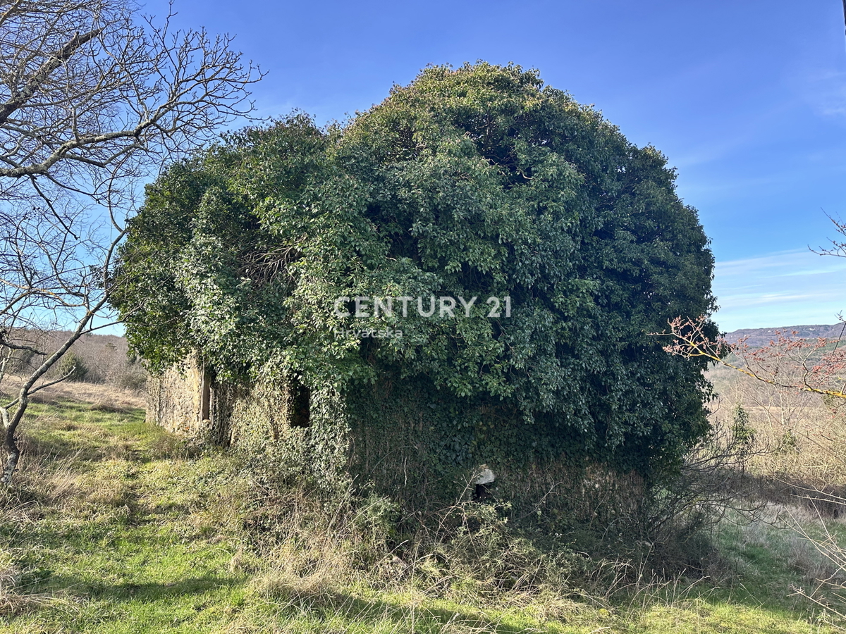 ISTRA, BOLJUN, RUDERE IN PIETRA CON AMPIO TERRENO E VISTA APERTA SULLA NATURA