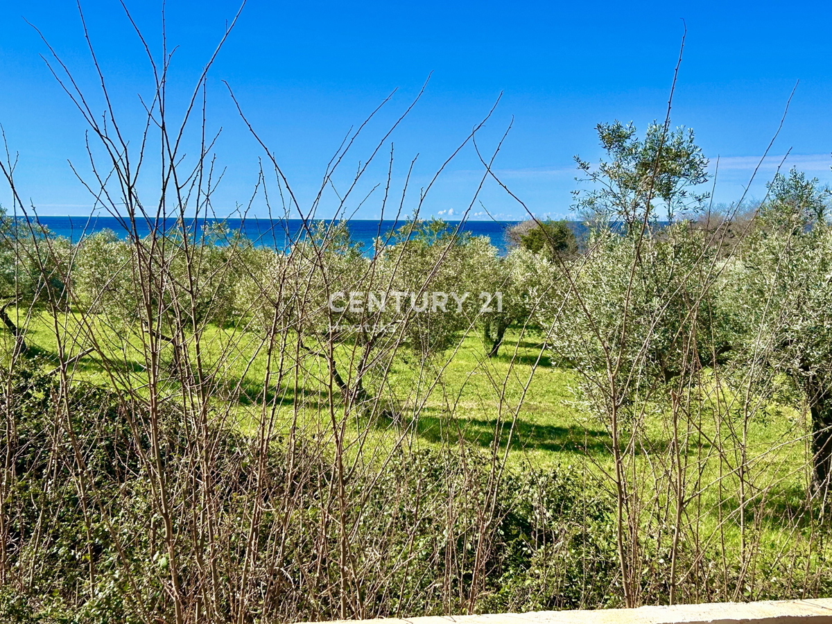 UMAG, DUPLEX CON VISTA PANORAMICA SUL MARE E SULLE DOLOMITI