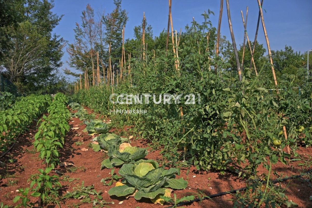 Vendita, Casa, Indipendente, Provincia di Istria, Kanfanar