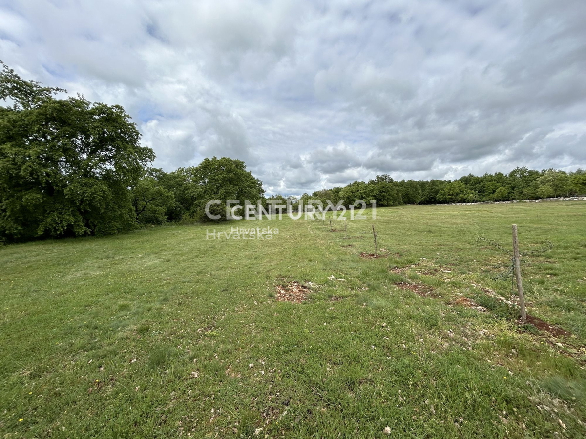 Vendita, Terreno, Edificabile, Istarska županija, Sveti Lovreč