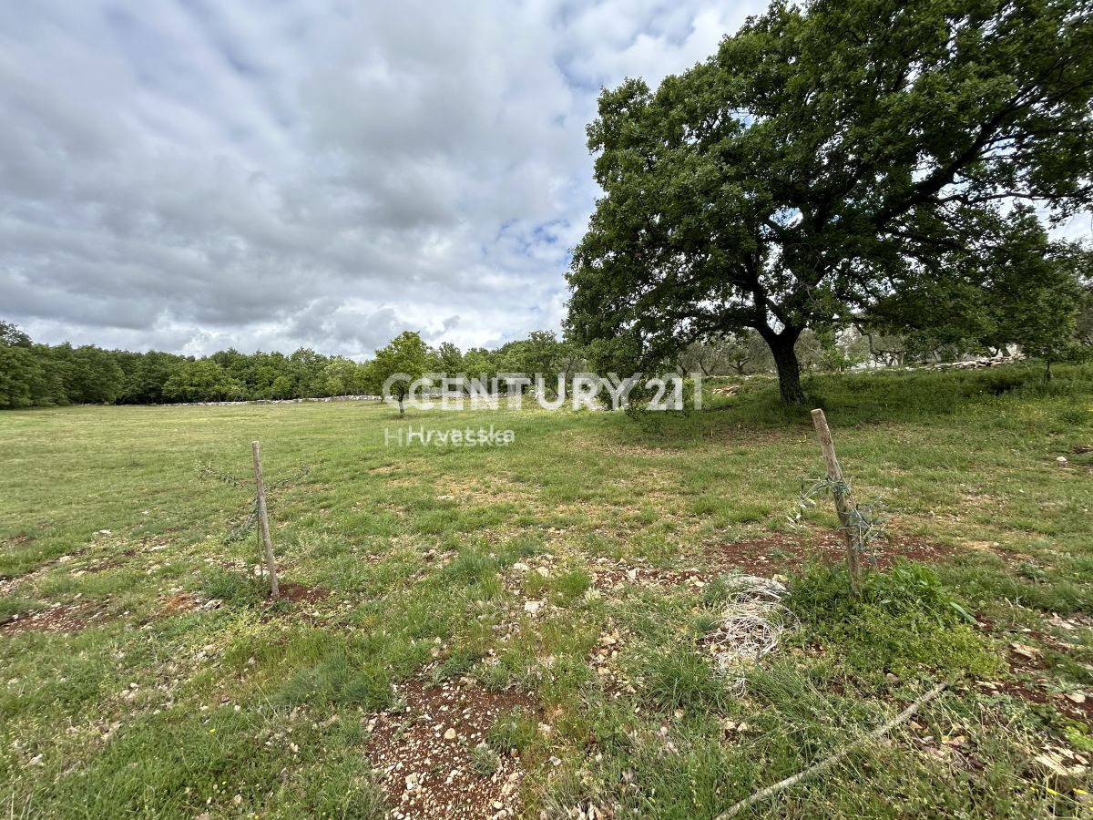 Vendita, Terreno, Edificabile, Istarska županija, Sveti Lovreč