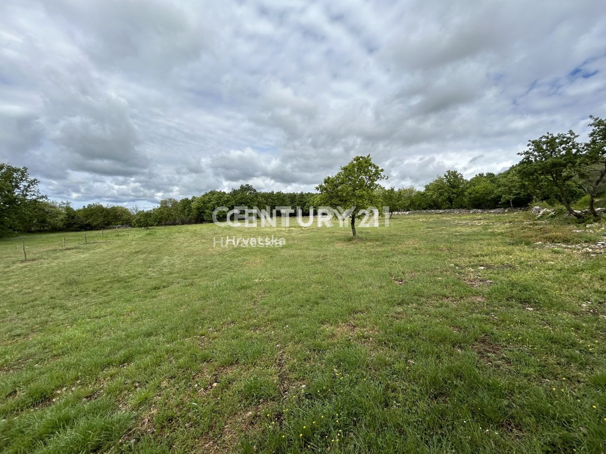 Vendita, Terreno, Edificabile, Istarska županija, Sveti Lovreč