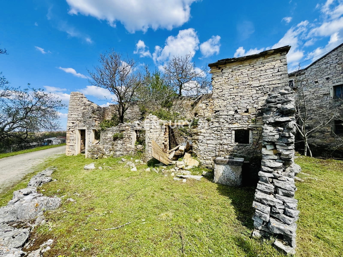 OPRTALJ, AUTOCTONE ISTRIAN HOUSES FOR RESTORATION