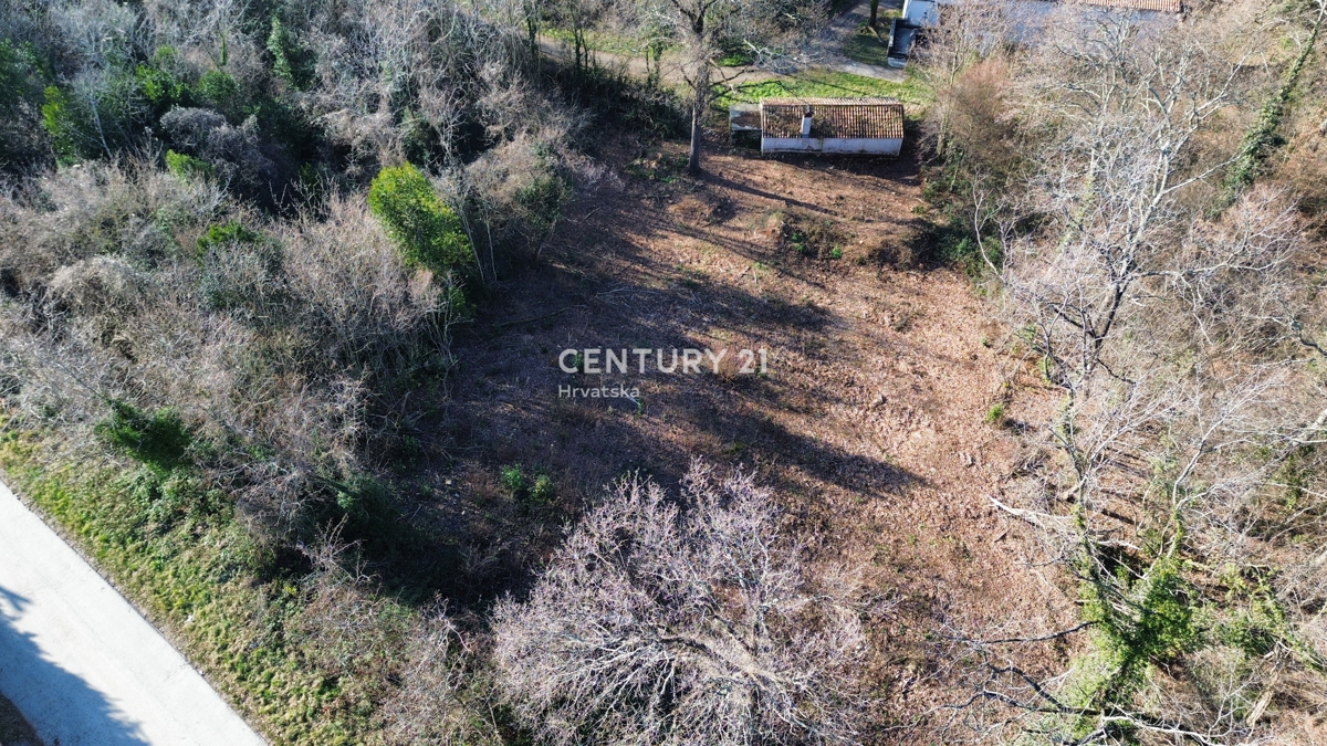 LABIN, PERIFERIA, CASA IN PIETRA E AMPIO TERRENO EDIFICABILE