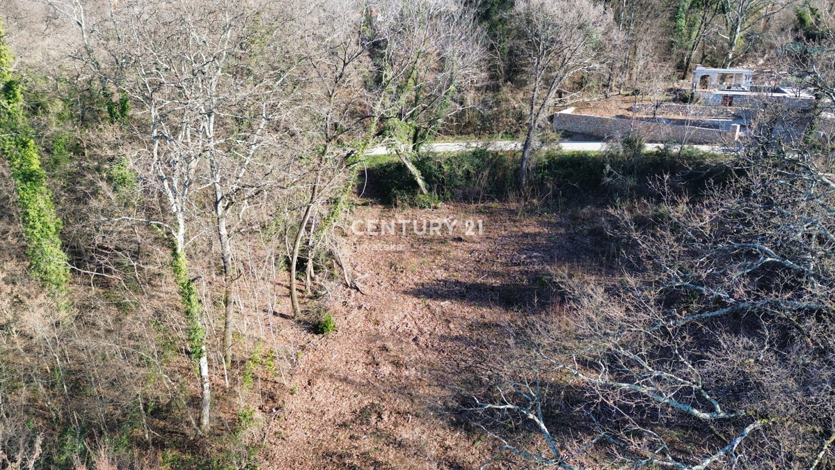 LABIN, PERIFERIA, CASA IN PIETRA E AMPIO TERRENO EDIFICABILE