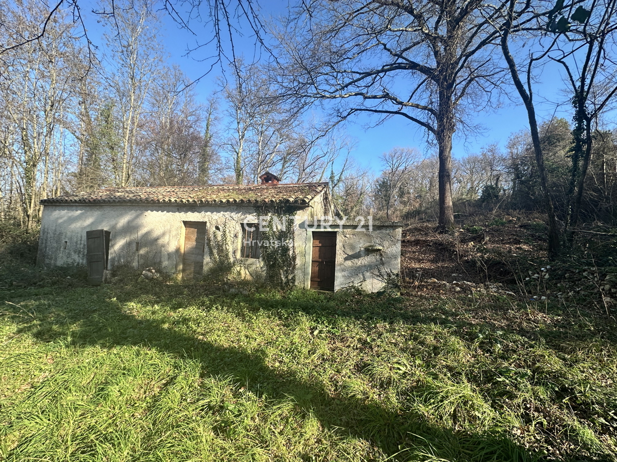 LABIN, PERIFERIA, CASA IN PIETRA E AMPIO TERRENO EDIFICABILE